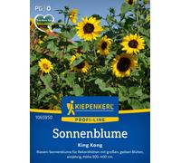 Kiepenkerl Sunflower "King Kong" - 1 Pkg