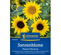 Kiepenkerl Sunflower Majestic Mix - 1 Pkg