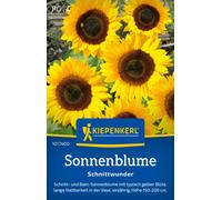 Kiepenkerl Sunflower "Schnittwunder" - 1 Pkg