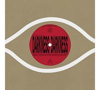 Kieran Hebden - Darkness, Darkness / No Services [VINYL]