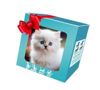 KieTeiiK Life Like Interaction Plush Cats with Simulation Barking Tail Wagging Walking Design for Toddler Craw Learning Education Interaction Barking Cats Plush Toy