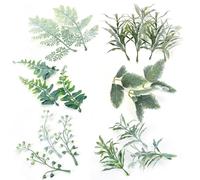 Kighdel 60 Pcs Artificial Green Foliage Realistic Artificial Leaves Faux Eucalyptus Plant & Stems for Bouquets Wedding & Party Decor Durable Reusable Greenery Fake Leaves DIY Garland Arrangements