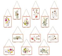 Kigley 12 Pcs Double Glass Frame for Pressed Flowers Floating Hanging Photo Frame 3.5 x 2.5 in Brass Clear Pressed Flower Decor with Chain for Display Gallery Artwork, Horizontal Vertical (Rose Gold)