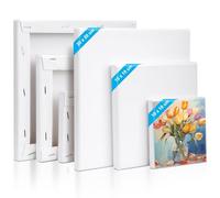 Kigniote Canvas Set 6 PCS Canvas for Painting 20 x 20,15 x 15,10 x 10 cm Canvases, Stretched Blank Canvas for Painting Art Canvas Board for Oil Painting Acrylic Painting Canvas Boards for Artist