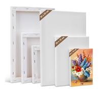 Kigniote Canvas Set 6 PCS Canvas for Painting 30 x 20,20 x 15,15 x 10 cm Canvases, Stretched Blank Canvas for Painting Art Canvas Board for Oil Painting Acrylic Painting Canvas Boards for Artist