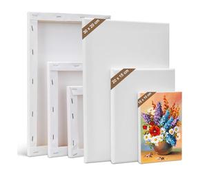 Kigniote Canvas Set 6 PCS Canvas for Painting 30 x 20,20 x 15,15 x 10 cm Canvases, Stretched Blank Canvas for Painting Art Canvas Board for Oil Painting Acrylic Painting Canvas Boards for Artist