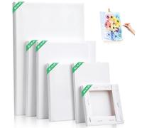 Kigniote Stretched Canvas Set - 6 PCS for Oil and Acrylic Painting - Multi-Size Art Boards 30x20,20x20,20x15,15x15,15x10,10x10cm for Artists
