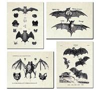 KIHOARL 4 Pcs Bats Wall Decor Bats Wall Art Canvas Print,Vintage Retro Hipster Gothic Wall Decor Goth Art Gothic Gifts Creepy Scary Anatomical Picture Poster for Home Living Room Bedroom Office