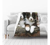 KIJ Australian Shepherd Small Puppies Quartet, All Season Fuzzy Flannel Blanket, Unbelievably Soft, Lightweight, Cozy for Any Moment 50"× 40"