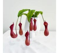KIJING 2Pack 29" Artificial Pitcher Plant, Maintenance-Free Greenery, Perfect for Balcony, Kitchen and Windowsill DIY Decor, Daily and Holiday Use (2, red)