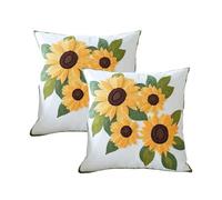 KIJING Embroidered Pillowcase 2 Sets Square Sofa Pillow Case Cushions Terrace Pillows for Home Sofa Decoration Party Room Decoration (White)