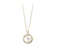 KIJSKKOPO 925 Sterling Silver Astrology Necklace, Round Hollow Gold Plated Inlaid Zircon 12 Constellation Pendant Adjustable Choker Necklace Jewellery Gifts for Mum Wife Cancer
