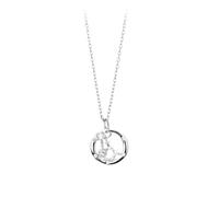KIJSKKOPO 925 Sterling Silver Astrology Necklace, Round Hollow White Gold Plated Inlaid Zircon 12 Constellation Pendant Adjustable Choker Necklace Jewellery Gifts for Mum Wife Aquarius