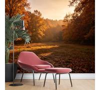 KIJSKKOPO Silk Meadow Wall Mural 105X150cm, Sunrise Autumn Glade Print Wallpaper, Golden Fall Forest Clearing Nature Landscape Art Print Photo Mural Decor for Living Room Silk Fabric Wallpaper 105X1