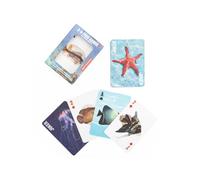 KIKKERLAND Fish 3D Cards