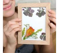 Kikkerland - Huckleberry Pressed Flower Frame Hb02-F - HOME - P2222z