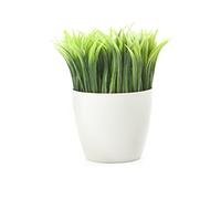 Kikkerland Potted Pen Stand (SC24)