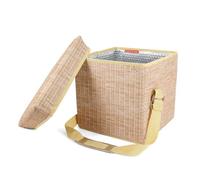 Kikkerland Wicker Picnic Cooler Seat Cool Box