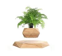Kiko-ershaa Levitation Plant Pot Floating Air Bonsai Pot Suspension Flower Pot Planter for Desk Decoration
