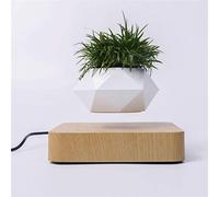 Kiko-ershaa Levitation Plant Pot Floating Air Bonsai Pot Suspension Flower Pot Planter for Desk Decoration