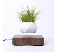 Kiko-ershaa Levitation Plant Pot Floating Air Bonsai Pot Suspension Flower Pot Planter for Desk Decoration