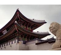 Kildare to South Korea