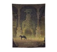 Kilian Eng - Shadow Of The Colossus Video Game Poster Wall Tapestry Art Picture Print Modern Family Bedroom Decor Tapestries 30"x40"