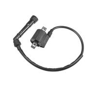 Kill Switch Ignition Coil For CDI Engine Ignition Coil 660 For FM660 2001 2002 2003 2004 2005
