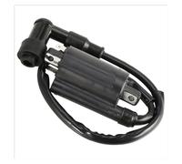 Kill Switch Ignition Coil Ignition Coil For For FD440V FD501D FD501V FD590V FD611V FD620D FD661D Engine 21121 2083 2076 0014 1163