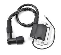 Kill Switch Ignition Coil Motorcycle Ignition Coil Assy For FS1 LB50 LB80 GT80G DT80 DT100 DT125 DT175 DT250 DT400 355-82310-40 5G4-82310-40