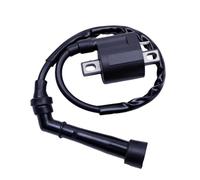 Kill Switch Ignition Coil Motorcycle Ignition Coil For Grizzly 660 YFM660 YFM 350 2002 2003 2004 2005 2006 2007 2008 For Bear Tracker ATV Parts