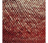 Kill The Vultures - Carnelian