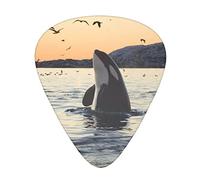 Killer Whale Advanced guitar pick 12 pieces Three thicknesses for bass, electric guitar, acoustic guitar bag