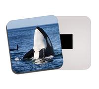 Killer Whale Fridge Magnet - Orca Ocean Sea Marine Animal #14212