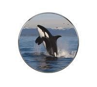 Killer Whale Fridge Sticker Funny Fridge Magnets Novelty Round Fridge Magnets Reusable for Whiteboard, Locker, Kitchen, Office- Strong Decor Magnetic Stickers