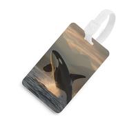Killer Whale Orca Boat Funny Luggage Tag Identifiers Travel Bag Tags with Name ID Label for Suitcase Backpack