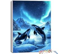 Killer Whale Paint by Numbers for Adults, Paint by Numbers Aurora with Paint Brushes and Acrylic Paint, DIY Adult Crafts Canvas Oil Painting kits for Home Decor Wall, Gifts for Women 20x28 in X-585