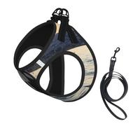 Killer Whale print Dog Harness and Leash Set, Reflective Adjustable Puppy Vest for Small Medium Large Dogs, Cats