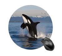 Killer Whale Round Mouse Pad Smooth Glide Gaming Mousepad Extra Density Portable Comfortable Mouse Mat for Desk, Home, Office 7.8x7.8 Inches