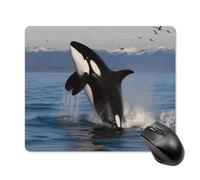 Killer Whale Square Mouse Pad Portable Computer Mousepad with Non-Slip Rubber Base 18 * 22cm Ultra-Thin Gaming Mouse Mat for Computer Laptop Office Desk Accessories