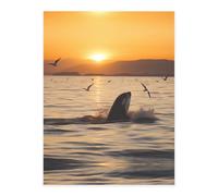 Killer Whale Under Sunset Crystal Sticker, 3D Stereoscopic Effect, Pattern Does Not Fall Off When Exposed to Water
