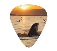 Killer Whale Under Sunset High-Quality, Wear-Resistant And Tough Guitar Picks Give You A Different Musical Experience