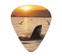 Killer Whale Under Sunset Print Guitar Picks 12-Pack - Assorted Thickness Picks (0.46 mm, 0.71 mm, 0.96 mm) with Storage Box & Assorted Unique Design for Acoustic, Electric, Bass, and Ukulele Players