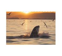Killer Whale Under Sunset Printed Jigsaw Puzzle 14.4x9.8 CM, Rectangular Puzzle Challenging Game for Adults Gifts, Family Fun Decorative Wall Decor
