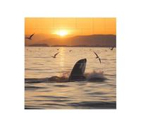Killer Whale Under Sunset Printed Square Jigsaw Puzzle 16x16 CM, Puzzle Challenging Game for Adults Gifts, Family Fun Decorative Wall Decor