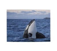 Killer Whales Orca,500 Pieces Puzzles for Adults-Wooden Jigsaw Puzzle for Adults Elderly