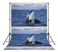 Killer Whales Orca, Photography Backdrop Photo Props 5x7FT Photo Background for Party Home Decoration