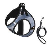 Killer Whales Swim Along Printing Dog Summer Harness With Leash Set,Adjustable And Reflective Step-In Puppy Pet Vest Harnesses
