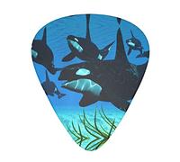Killer Whales Swim Along Unique Guitar Picks With Clear Prints And Multiple Thicknesses