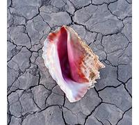 Killers - Wonderful Wonderful